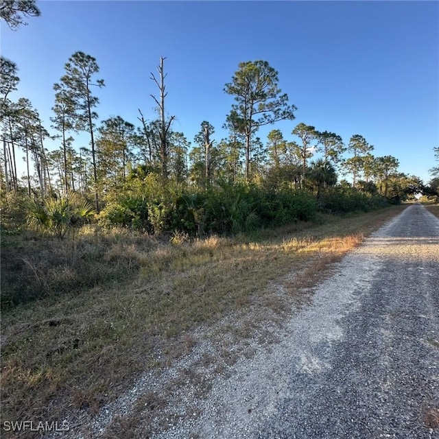 709 Monroe Ave, Lehigh Acres FL, 33972 land for sale