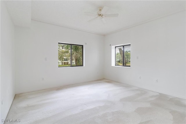 carpeted spare room with a healthy amount of sunlight and ceiling fan