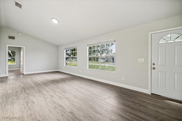 entrance foyer featuring lofted ceiling, a wealth of natural light, and dark wood-type flooring