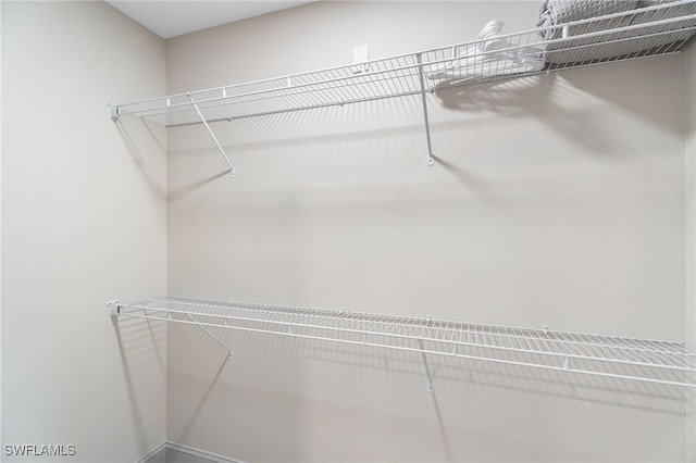 view of walk in closet