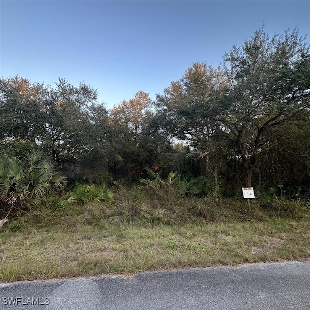 1210 Abbott Ave, Lehigh Acres FL, 33972 land for sale