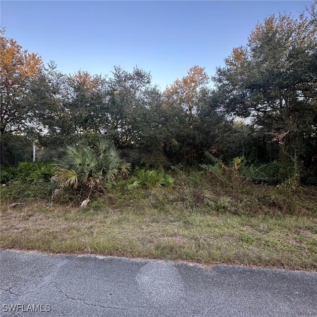 Listing photo 2 for 1210 Abbott Ave, Lehigh Acres FL 33972