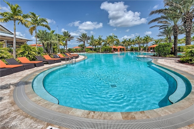 view of swimming pool featuring a patio area