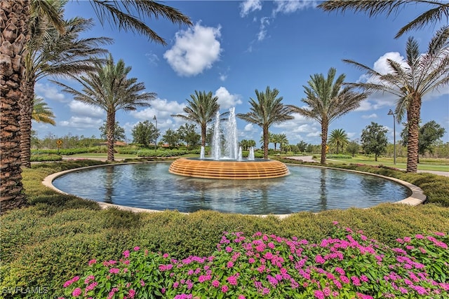 view of community with a water view