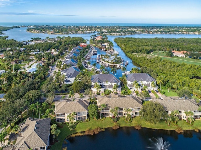 aerial view with a water view