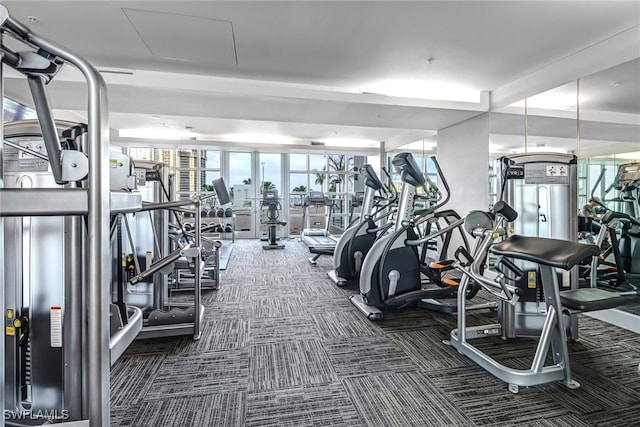 gym featuring dark colored carpet