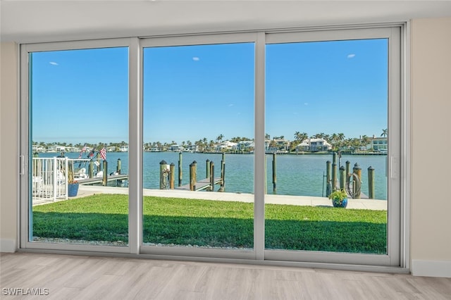 doorway featuring a water view, a healthy amount of sunlight, and wood finished floors