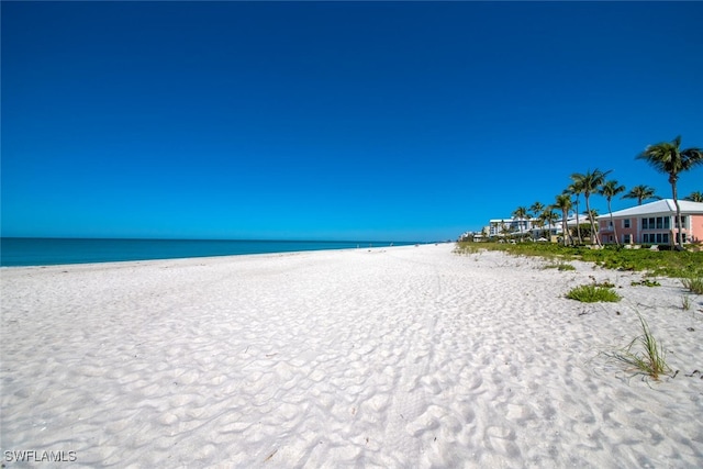 water view featuring a beach view