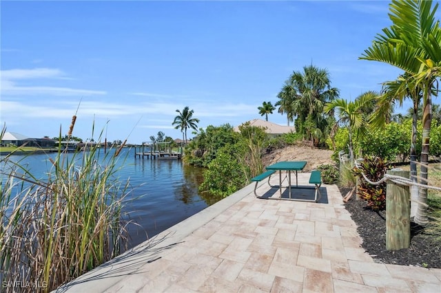 dock area with a water view