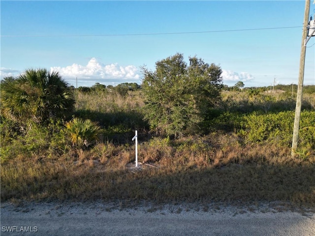 2910 71st St W, Lehigh Acres FL, 33971 land for sale