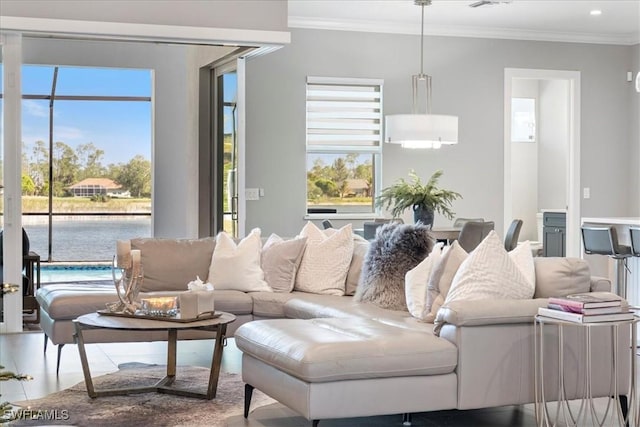 living room with crown molding and plenty of natural light