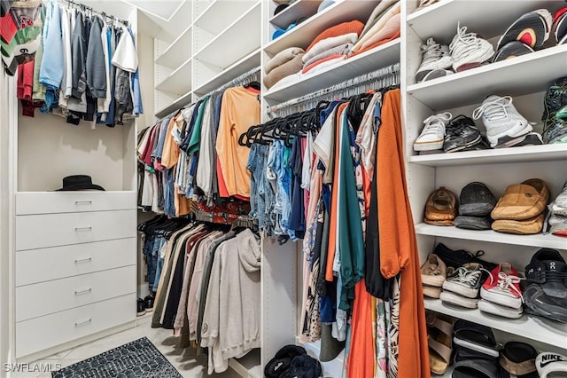 view of spacious closet