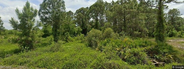 1805 W 18th St, Lehigh Acres FL, 33972 land for sale