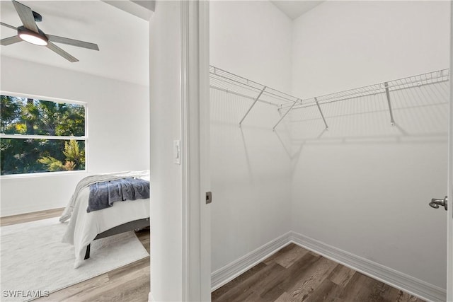 spacious closet with ceiling fan and wood-type flooring