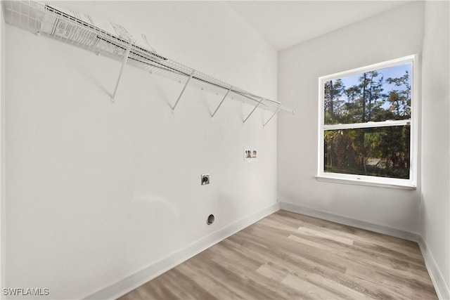 laundry room featuring washer hookup, electric dryer hookup, and light hardwood / wood-style floors