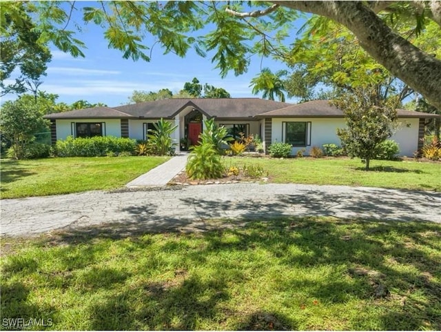 ranch-style home featuring a front yard