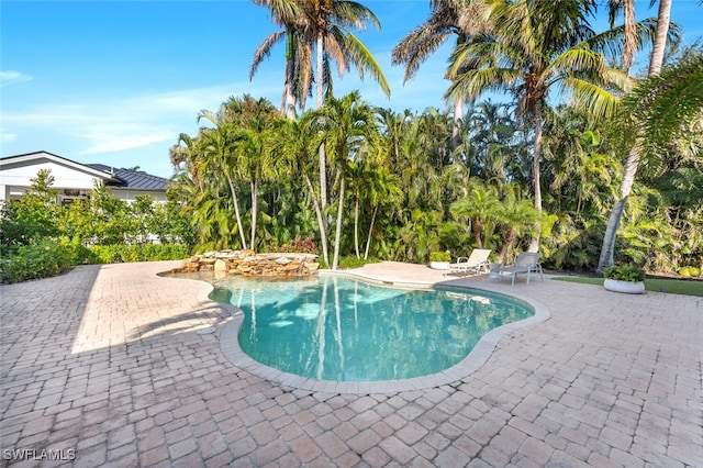 view of swimming pool with a patio