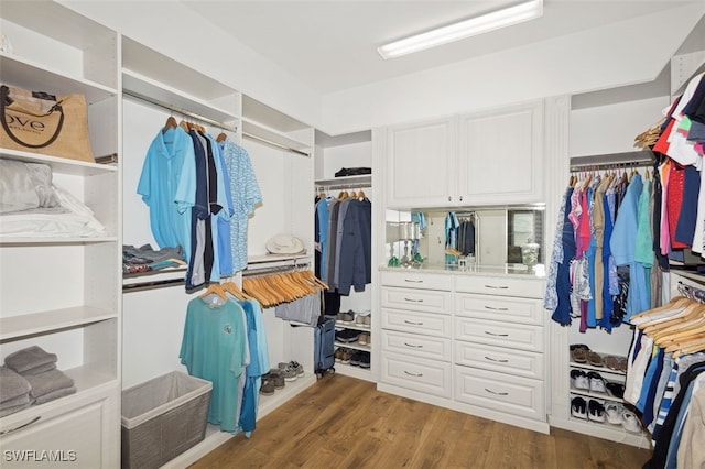 spacious closet featuring hardwood / wood-style floors