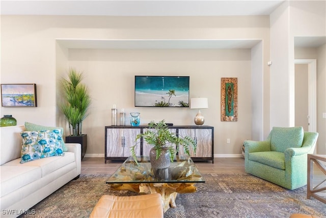 living room with wood-type flooring