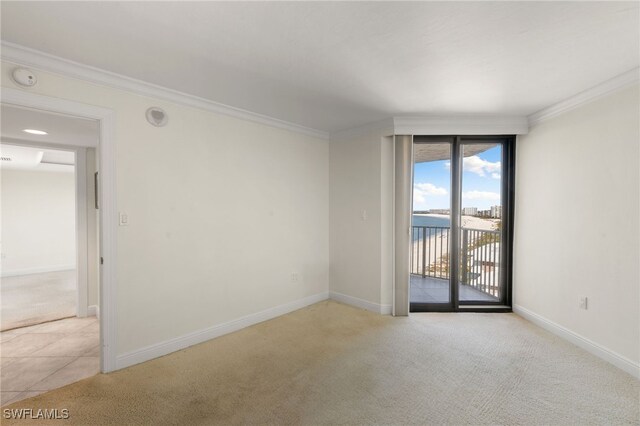 carpeted empty room featuring crown molding