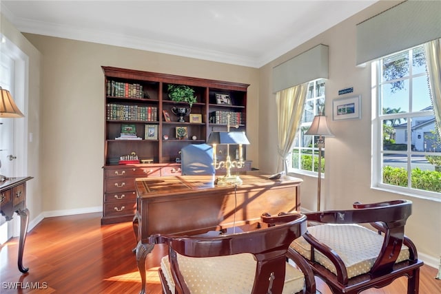 office space featuring plenty of natural light, wood-type flooring, and crown molding