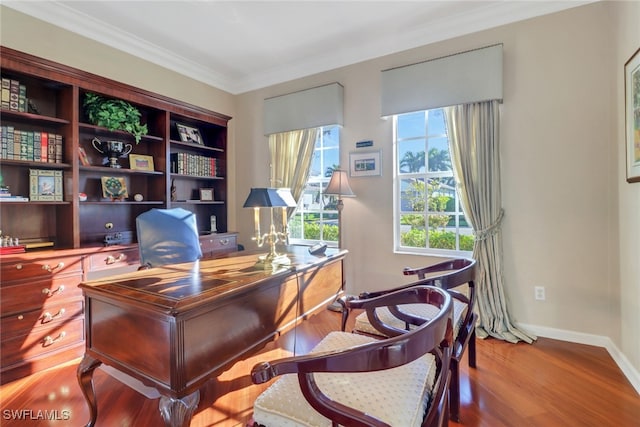 office space with hardwood / wood-style floors and ornamental molding