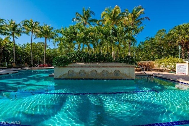 view of swimming pool