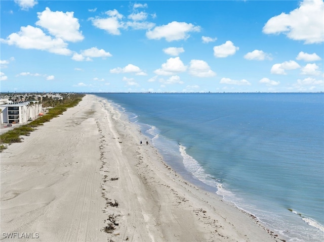 property view of water with a beach view