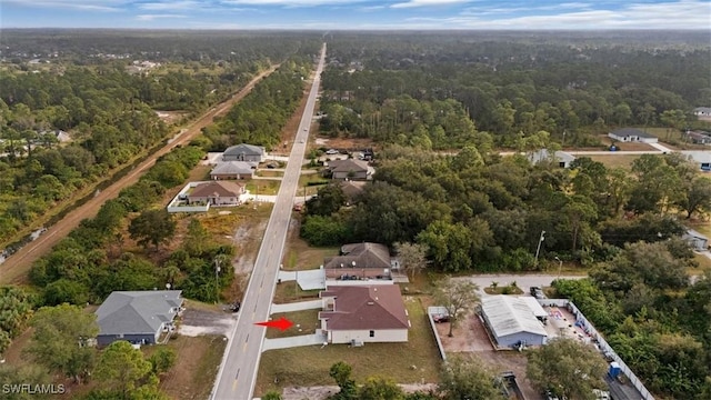 bird's eye view