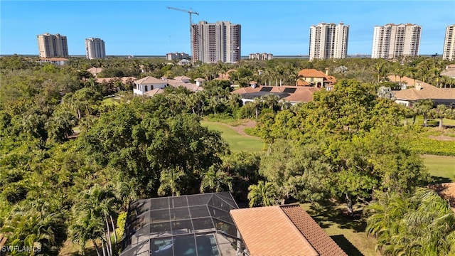 24221 Addison Place Ct, Bonita Springs, FL 34134 - drone / aerial view of a tree filled landscape