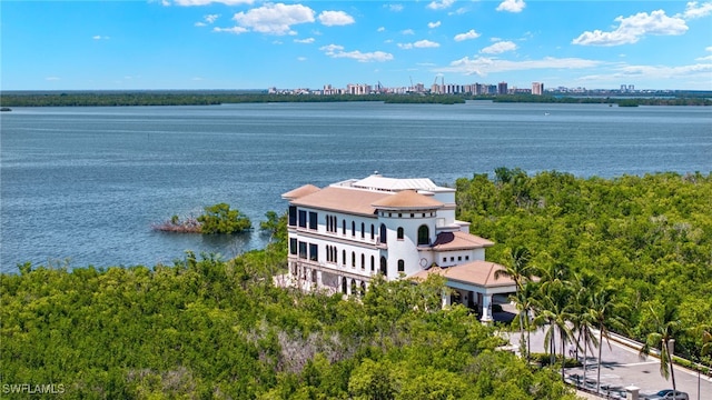 24221 Addison Place Ct, Bonita Springs, FL 34134 - aerial view of a nearby body of water