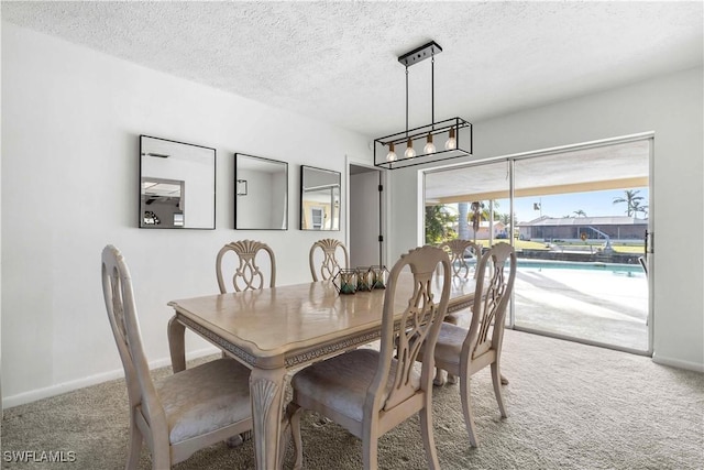 carpeted dining area with a textured ceiling