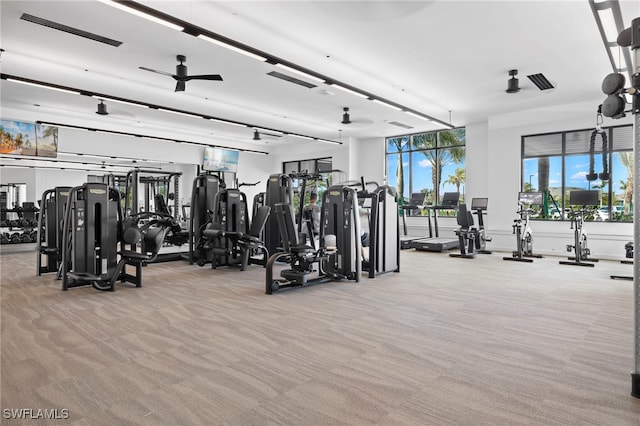 gym featuring light carpet and ceiling fan