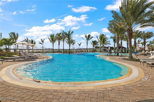 view of pool with a patio