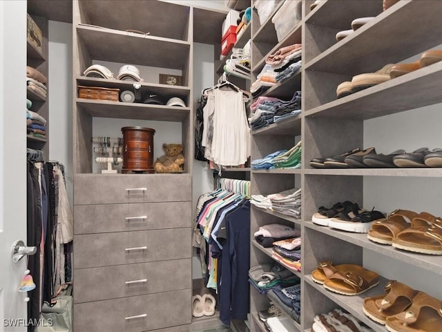 view of walk in closet