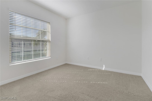 unfurnished room with carpet