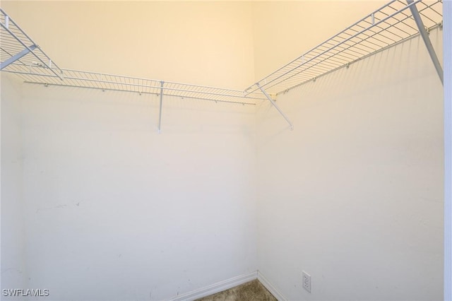 4241 Bellasol Cir Unit 1922, Fort Myers, FL 33916 - view of spacious closet