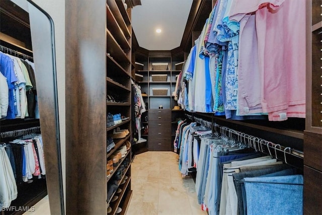 view of spacious closet