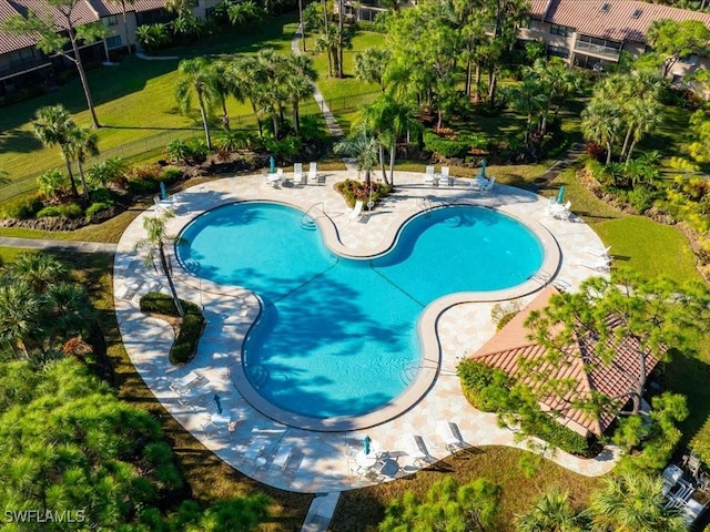 view of swimming pool with a patio area