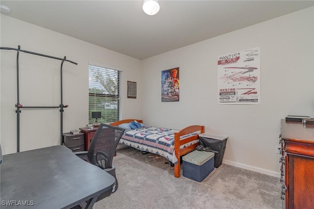 bedroom with light colored carpet