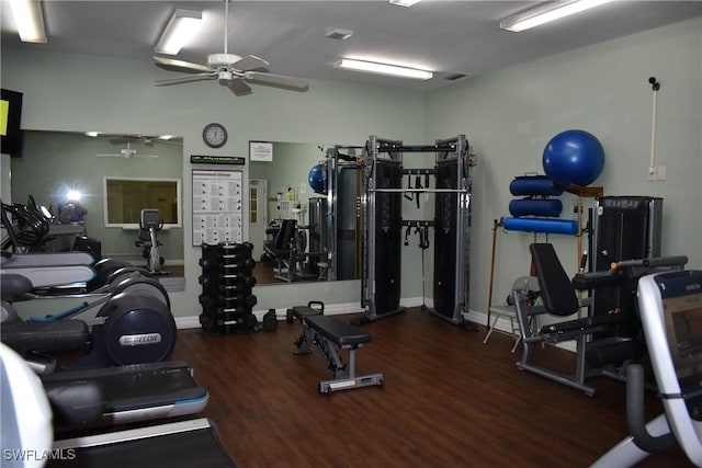 gym with ceiling fan and dark wood-type flooring