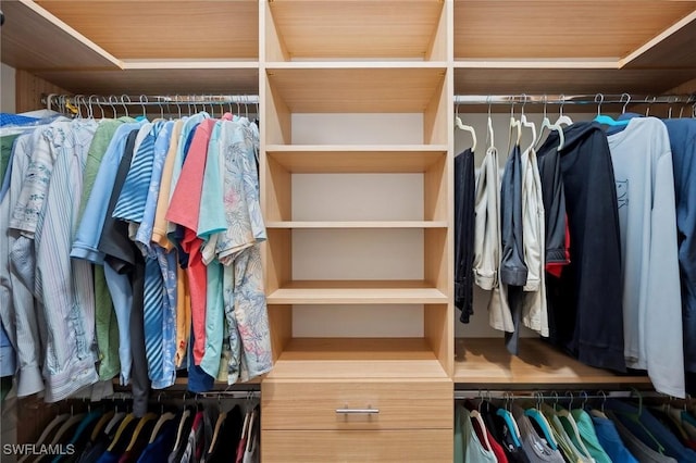 view of spacious closet