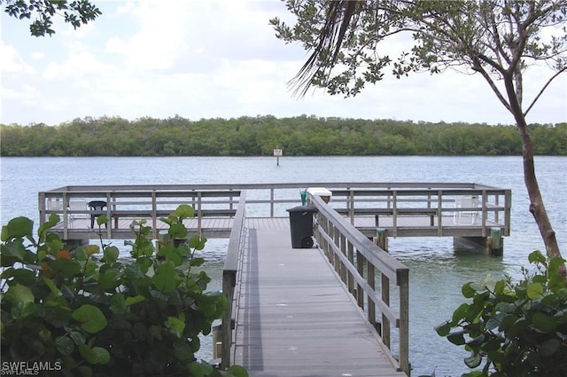 dock area featuring a water view