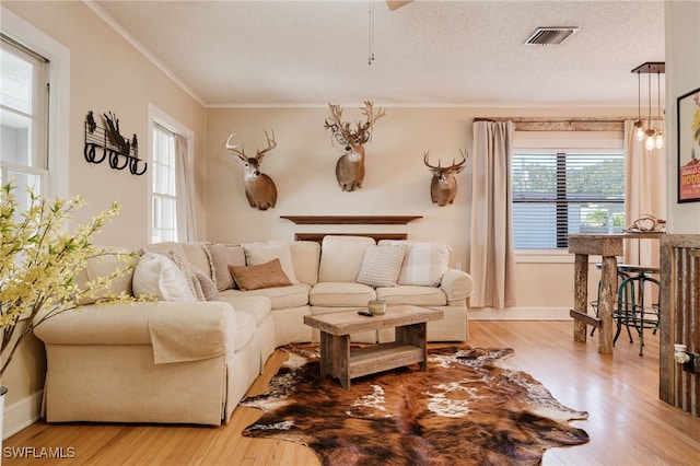 living room with crown molding, light hardwood / wood-style flooring, and a textured ceiling