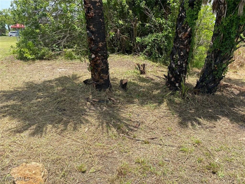 1125 W Miller Dr, Moore Haven, FL 33471