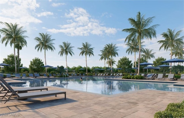 view of swimming pool featuring a patio