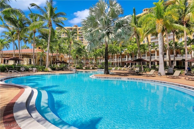 view of swimming pool featuring a patio