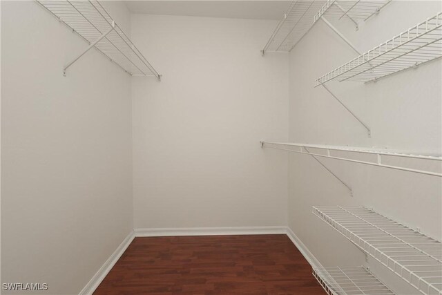 walk in closet featuring dark hardwood / wood-style floors