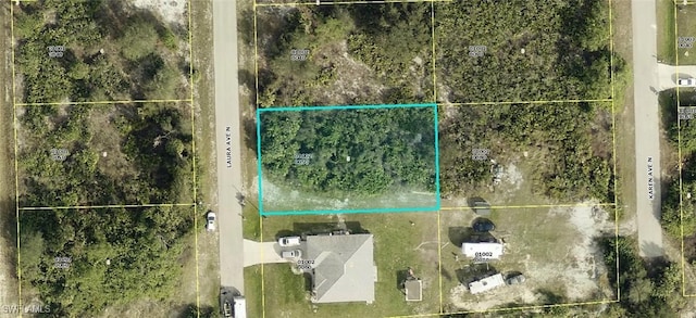 6002 Laura Ave N, Lehigh Acres FL, 33971 land for sale