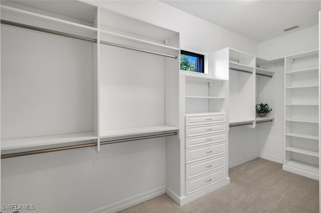 spacious closet featuring light colored carpet